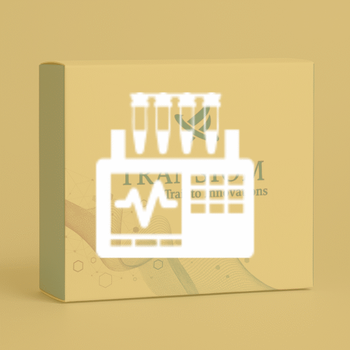 BHV-1 Real Time PCR Kit